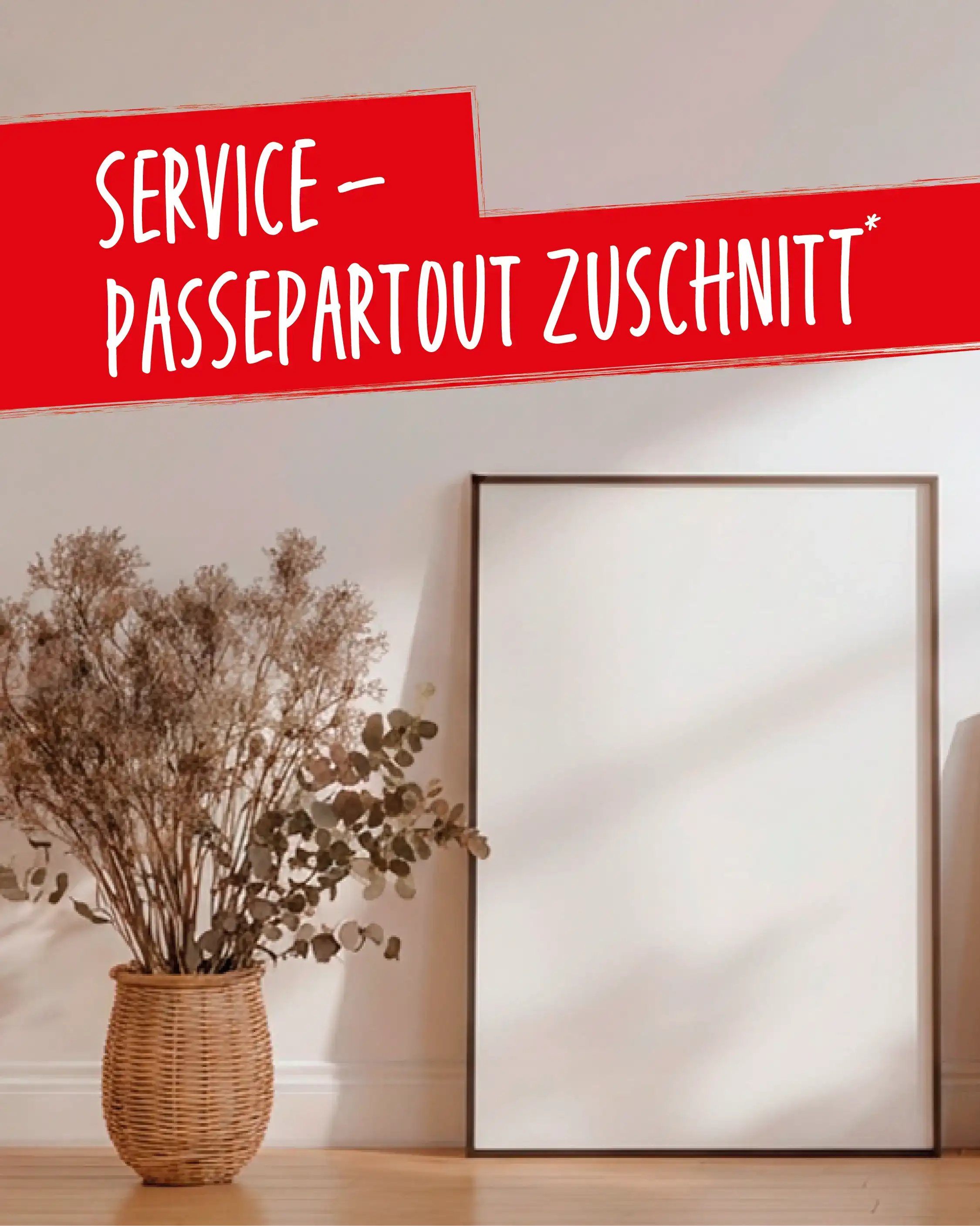 Wir setzen deine Bilder in Szene!