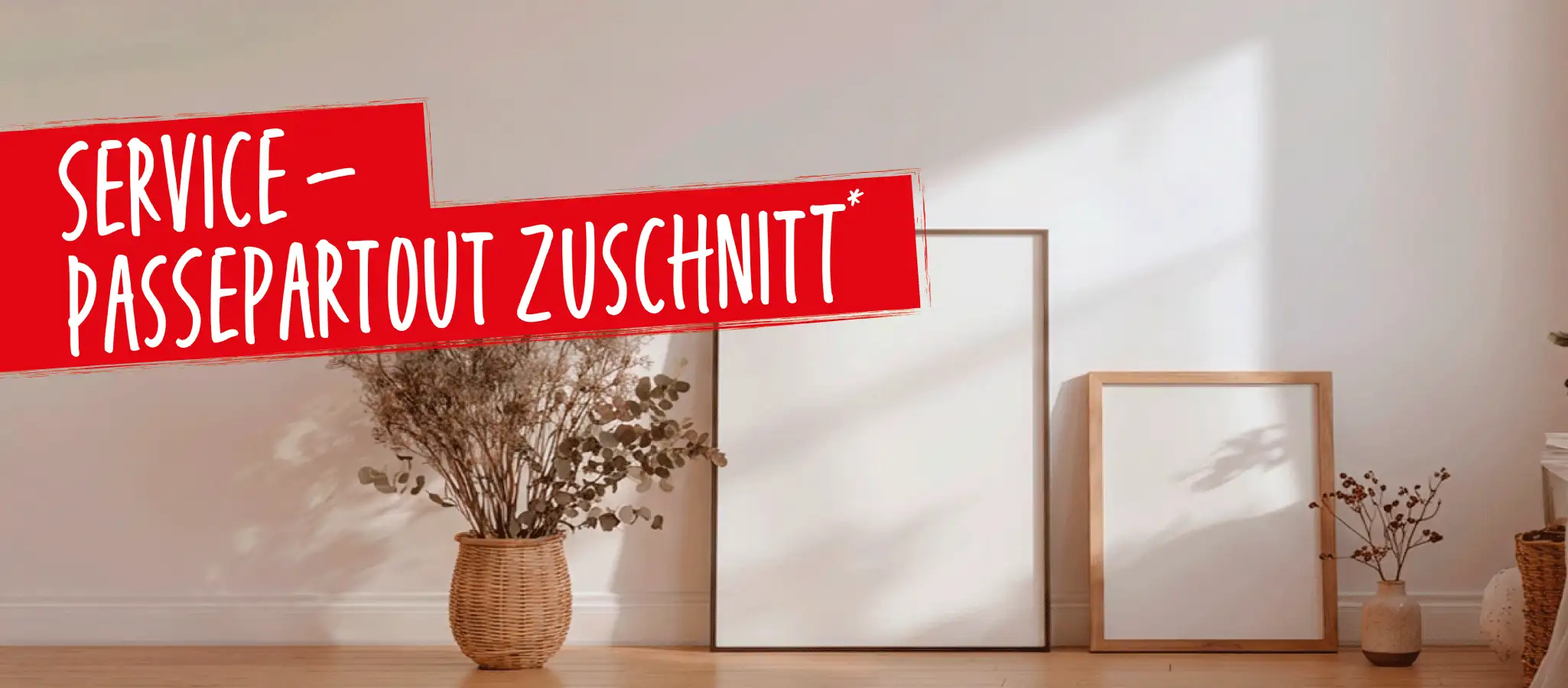 Wir setzen deine Bilder perfekt in Szene!