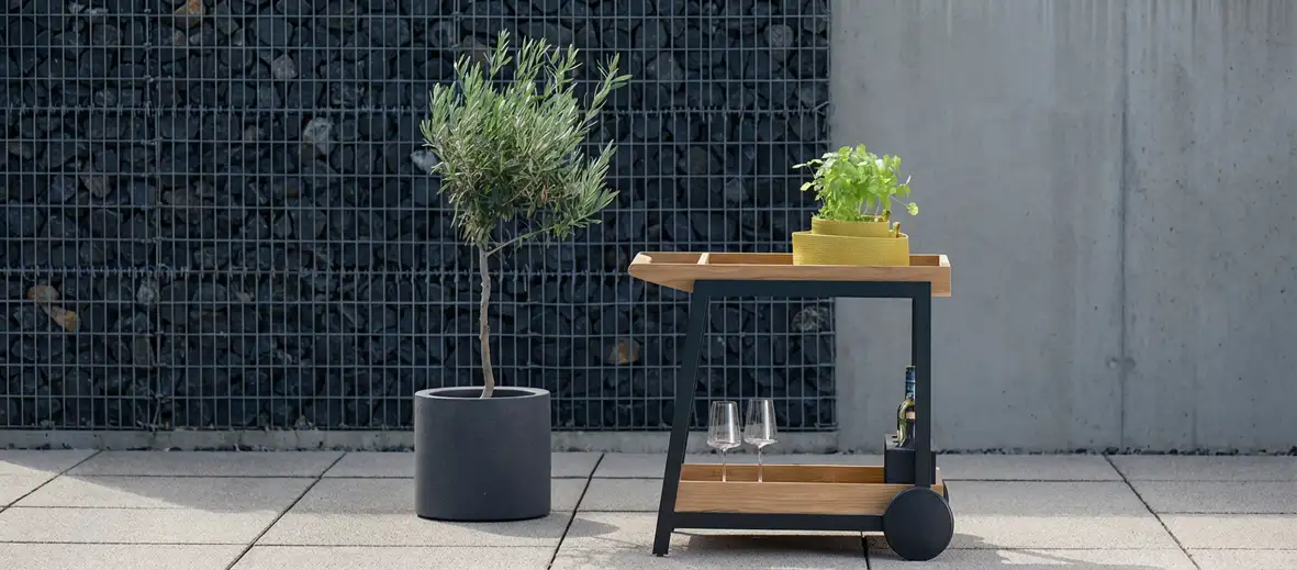 Olivenbaum im Topf neben einem Servierwagen aus Holz mit Pflanze auf einer Terrasse